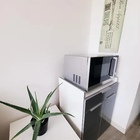 L'albatros- Parking - Piscine Apartment